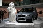 Skoda Yeti 2010 года